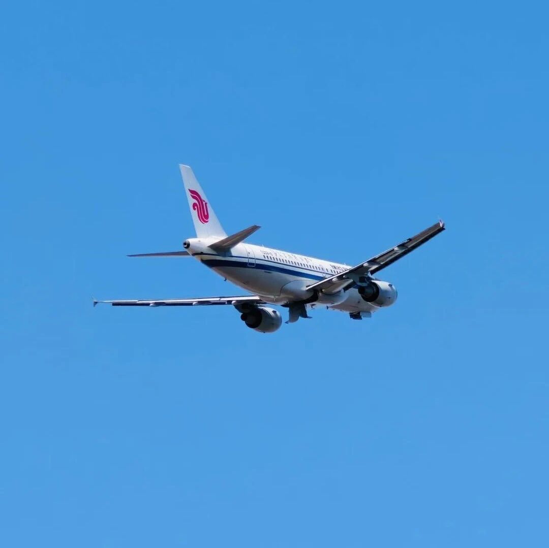 最新：九大航司大面积取消日本航班