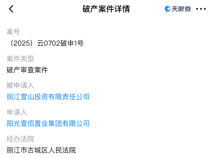 李亚鹏参投的雪山艺术小镇项目公司，被大股东申请破产