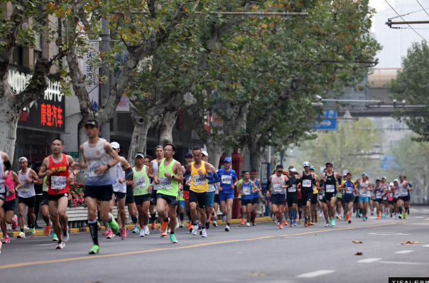 聚焦进博会｜全球运动品牌进博会争锋：谁能在中国市场跑得更快