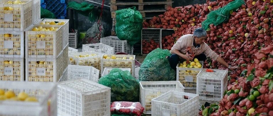 拼多多发布Q3财报：践行长期使命，迈向“Costco+Disney”的新十年