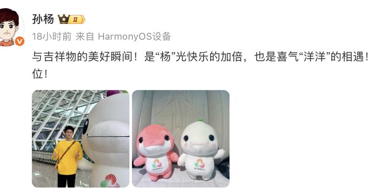 孙杨分享“全身都是痛点”：生活中除了训练就是治疗！本人发文：“全运会已就位”