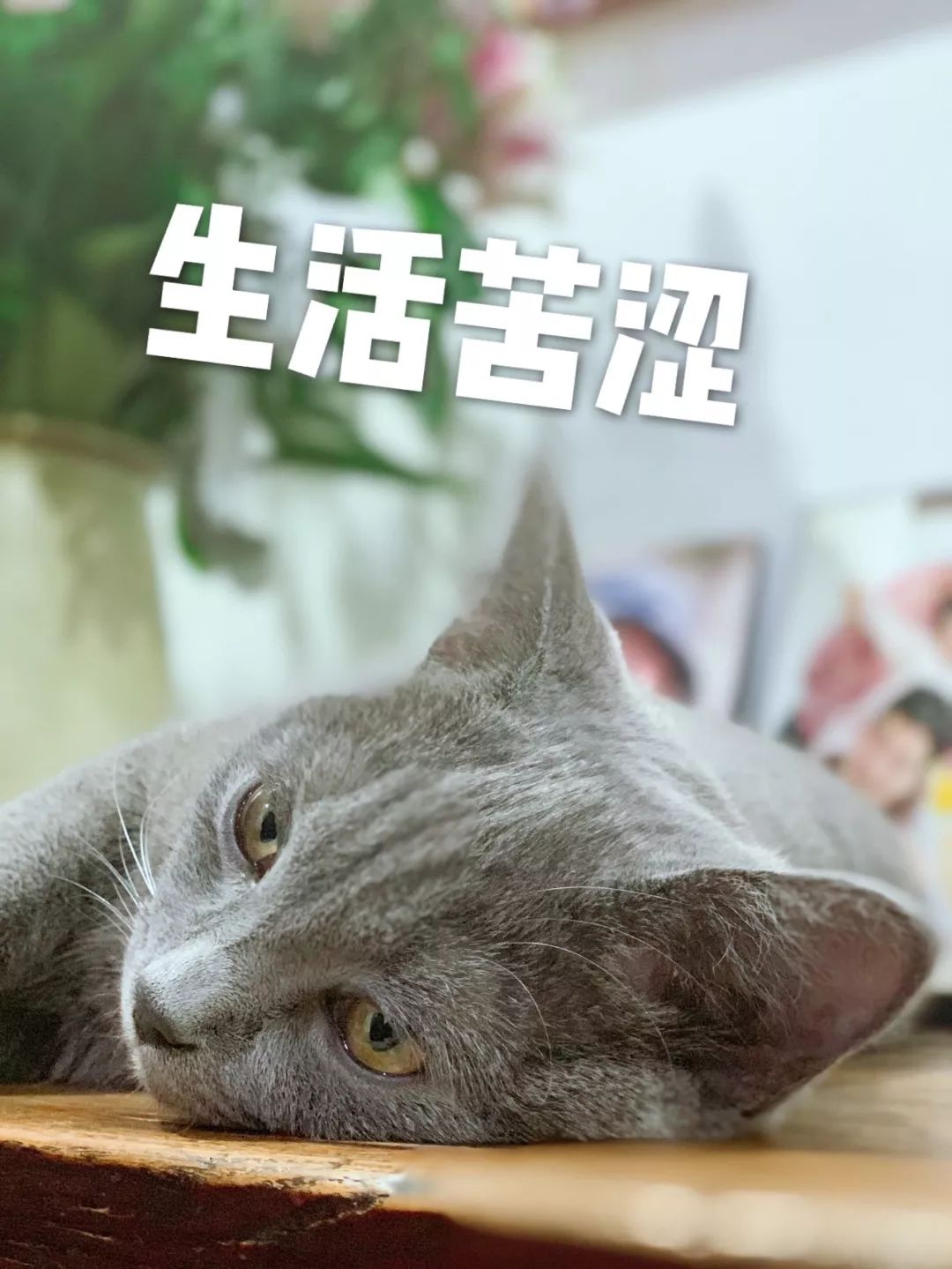 婚后对方以我的名义贷款3万不还，其父母还借了6万，离婚时我能要求对方还多少？| 法律咨询预告