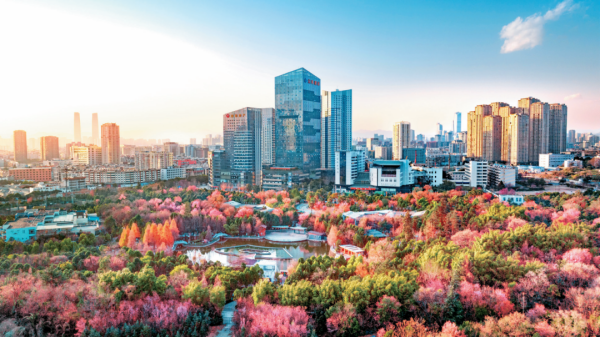 前9月外省人买房超三成，云南省委书记：只要适销对路，房子就不愁卖