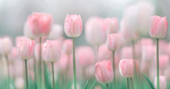 一个男人，如果主动和你断联，你可以这么应对