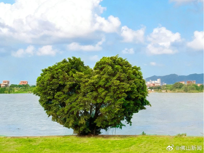 佛山晨光鼓励善待珍惜每一天