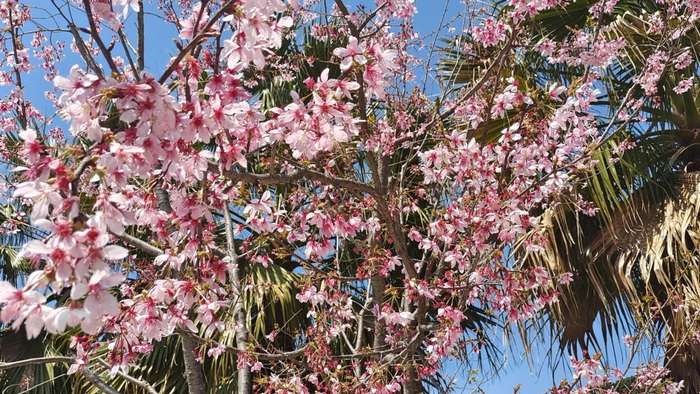 退休后手握5张牌，胜过多数人