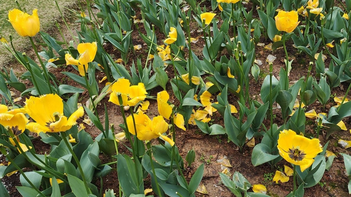 当一个人老到卧床不起的时候，如何活得有尊严？