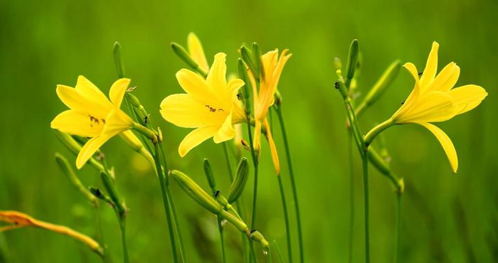 女人不拒绝你进入这些“私人”领地，是真的很爱你