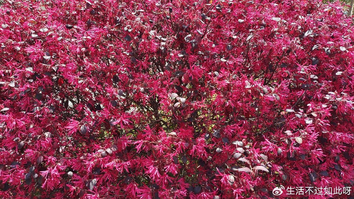 这几个迹象，表明孩子内心很缺爱