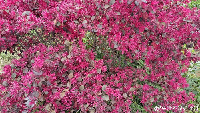 饭局上总说这3句话的人，根本没拿你当朋友，尤其最后一句