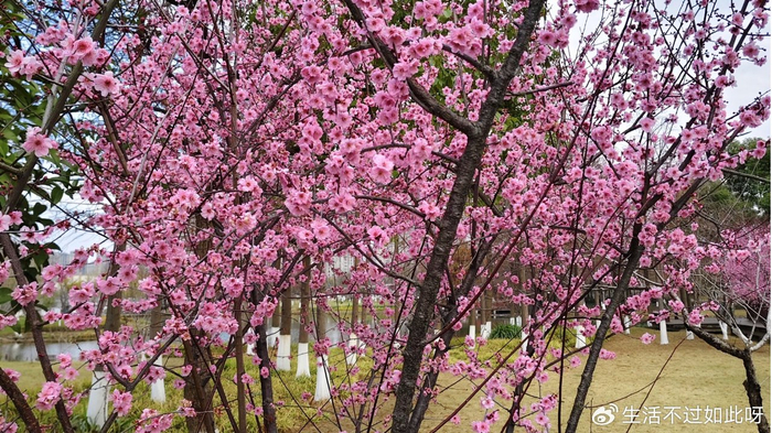 退休生活：面临大龄未婚子女，聪明的父母只做三件事