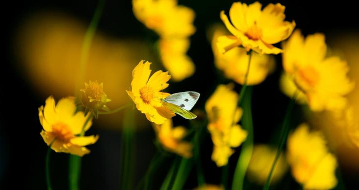 男人这3个方面越“厉害”，越让女人爱你入迷