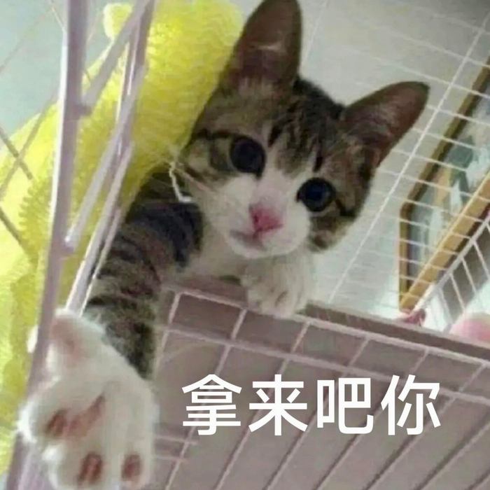 表情包文案引争议，熟睡丈夫比喻被指不当