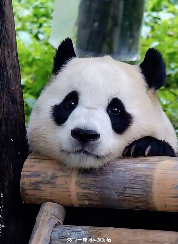 专家称睡好觉可解决人生大部分问题