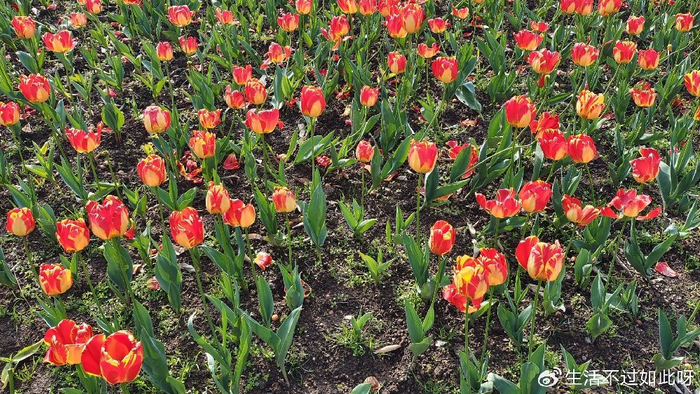 人老了，最好不要和子女一起住