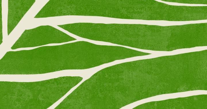 时间永远分岔，通向无数的未来：澎湃评论部年度特别策划即将推出