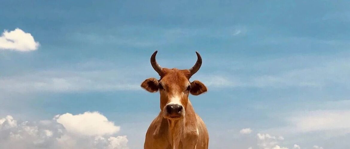 今夜！暴涨，创新高！