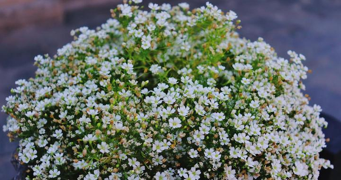 男人不爱你，却不提分手，是有原因的