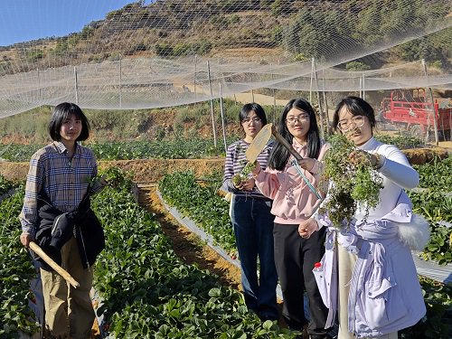 外语生变“农学生”？梯田里的寒假太硬核！