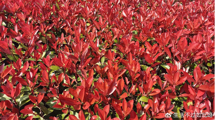 为啥2026养老金必涨？三大硬核依据，退休人员早该知道