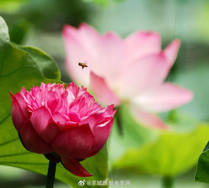 人生旅途美妙在追梦过程与抵达终点