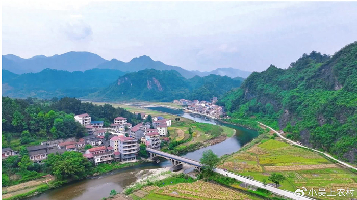 农村500多人的院子，6年没人结婚，再过20年，将变成无人村了