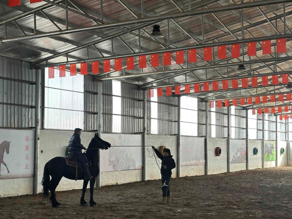 马年“名马”标价几十万元    明星、网红点燃数百亿马术市场