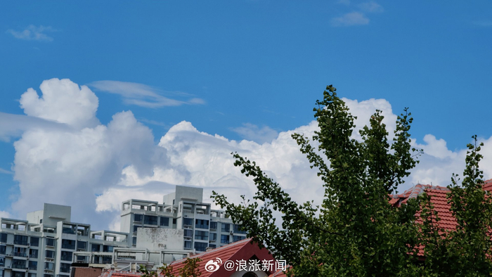 春天向所有人发出邀请函